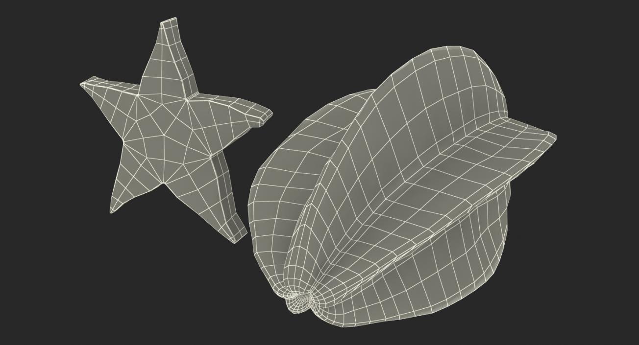 Star Fruit Set 3D model