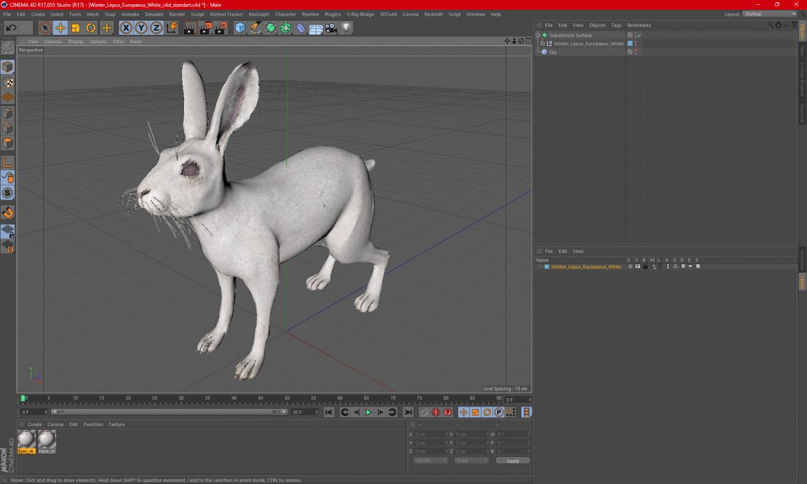 3D Winter Lepus Europaeus White model