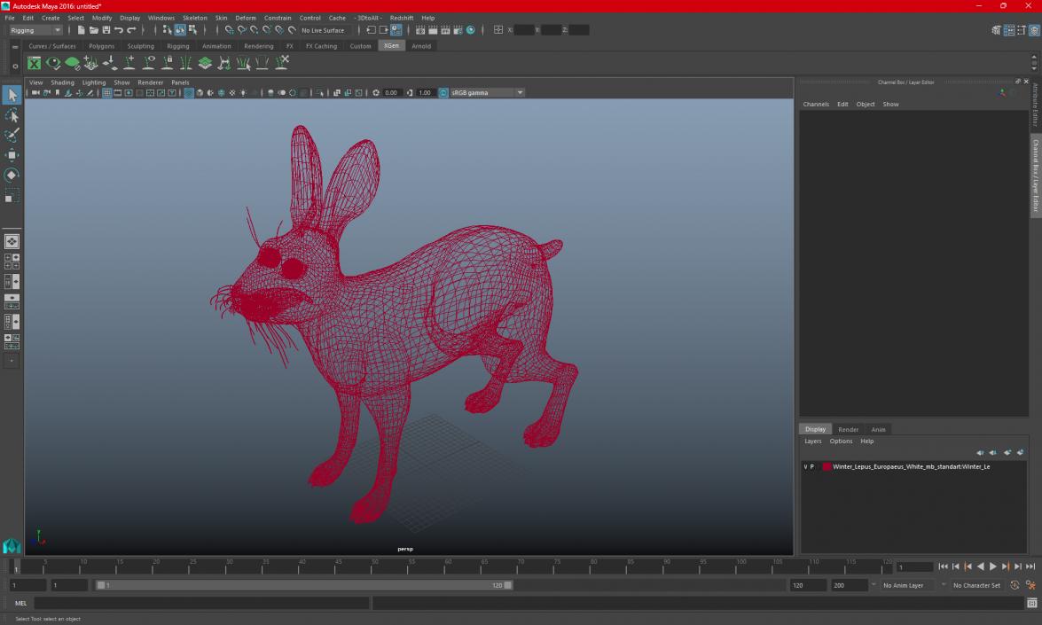 3D Winter Lepus Europaeus White model