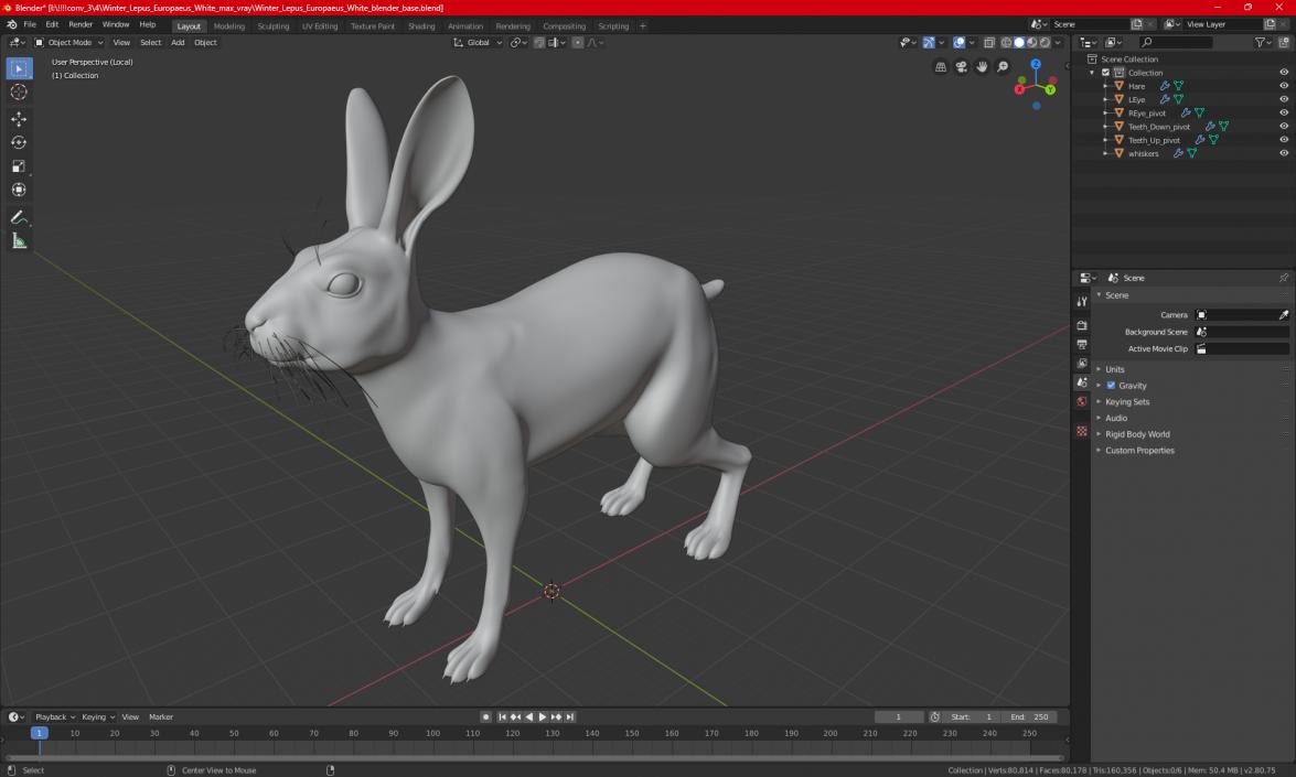 3D Winter Lepus Europaeus White model