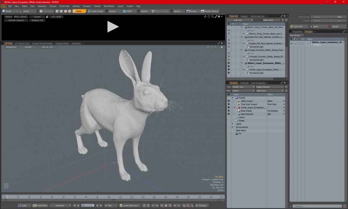 3D Winter Lepus Europaeus White model