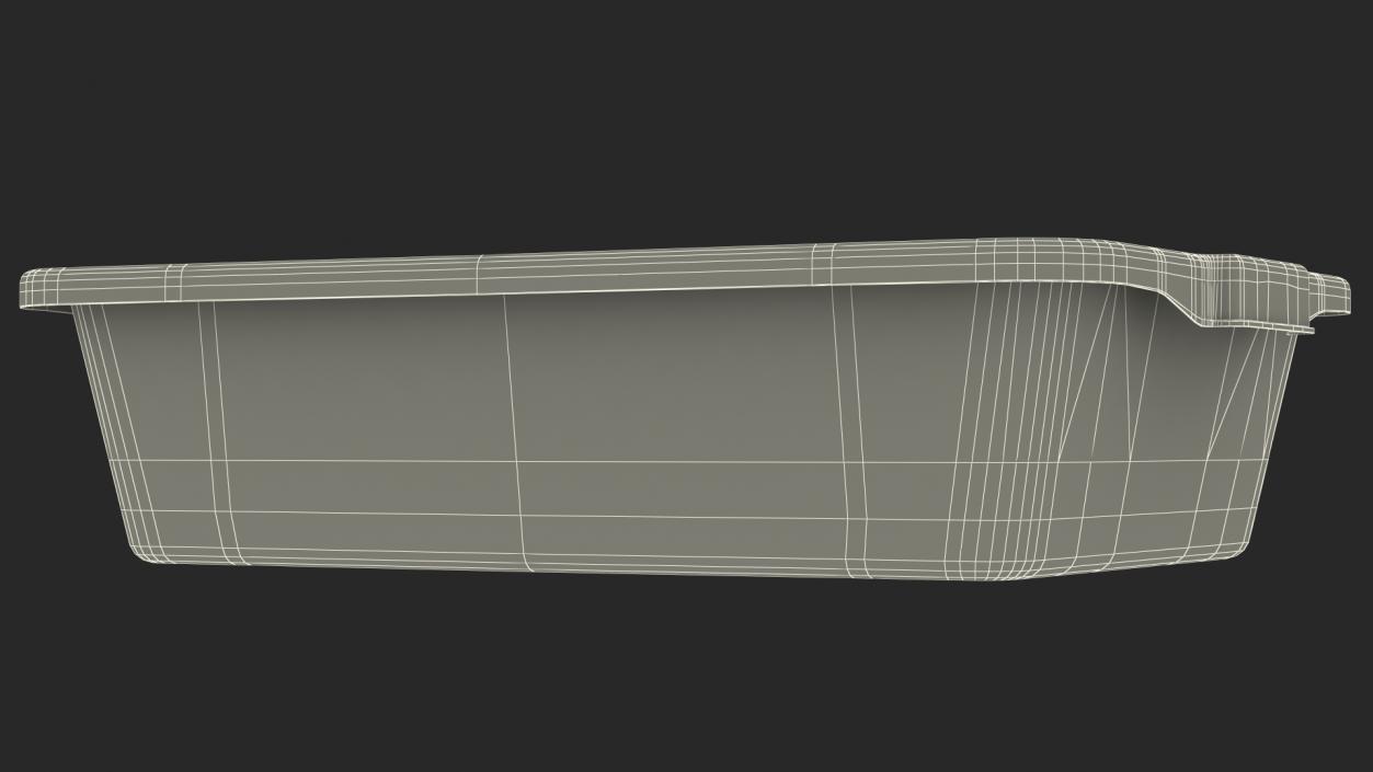 Airport Security Check Tray 3D