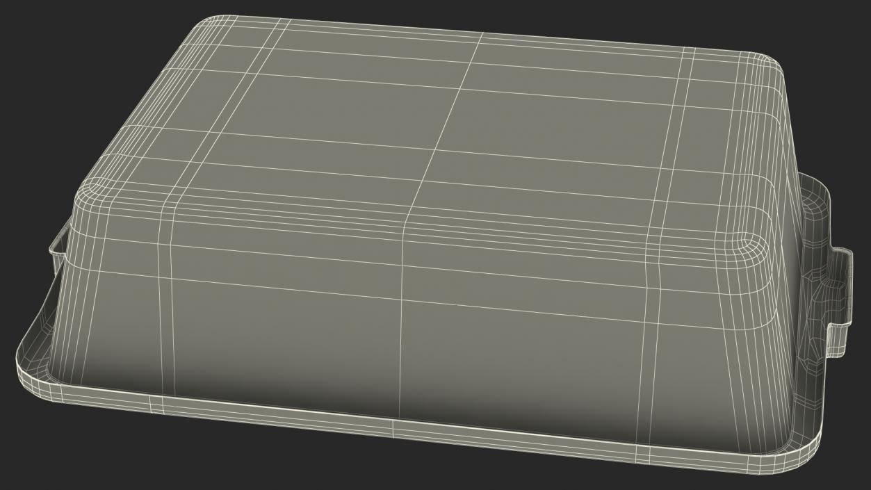 Airport Security Check Tray 3D