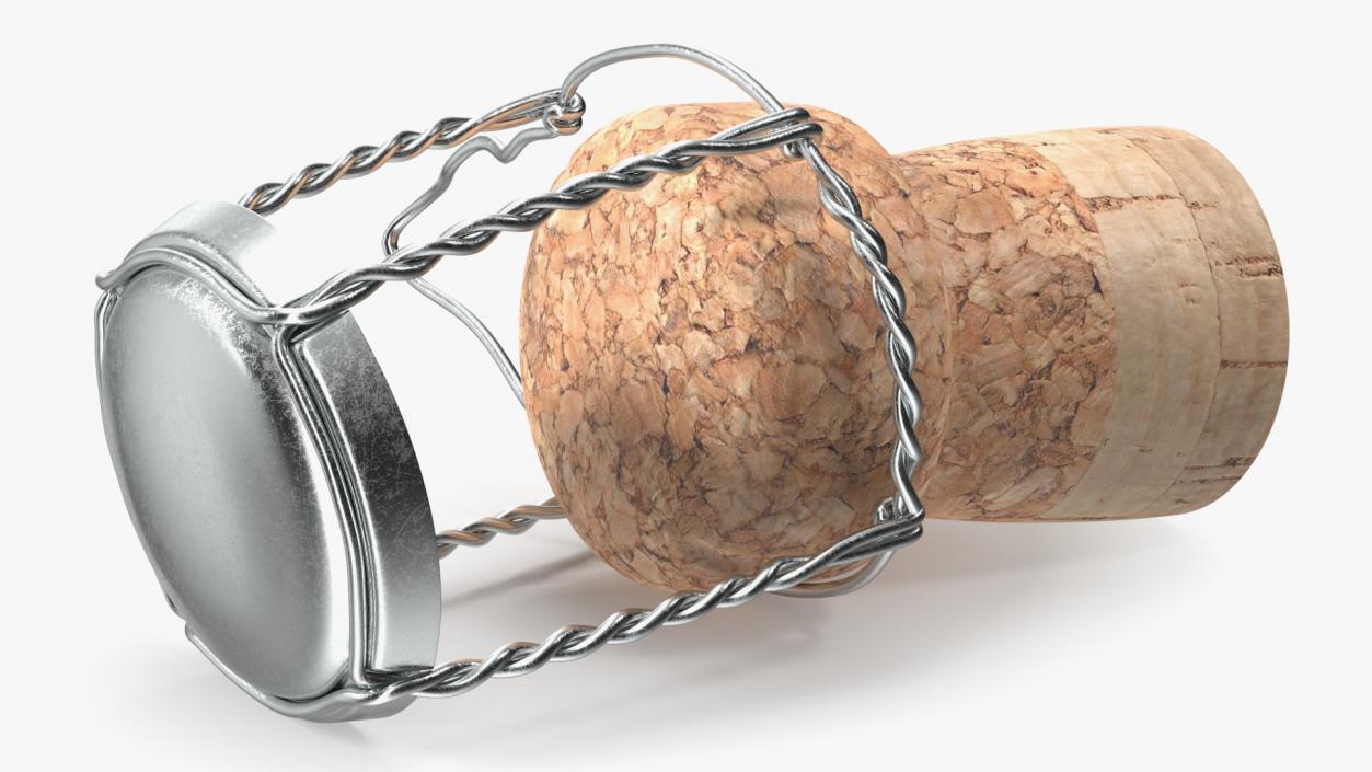 3D Bottle Cork Lying Metal Wire model