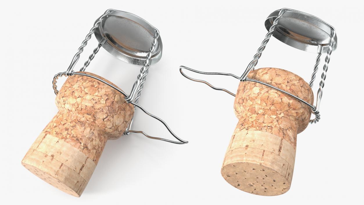 3D Bottle Cork Lying Metal Wire model