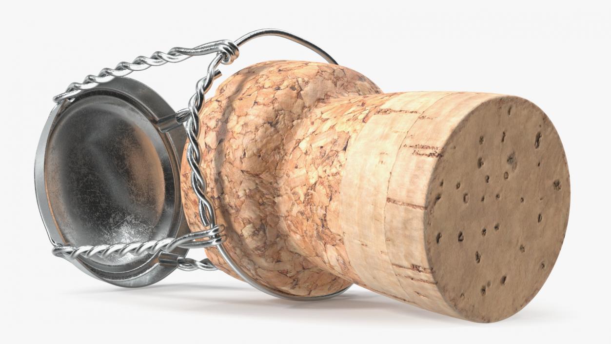 3D Bottle Cork Lying Metal Wire model