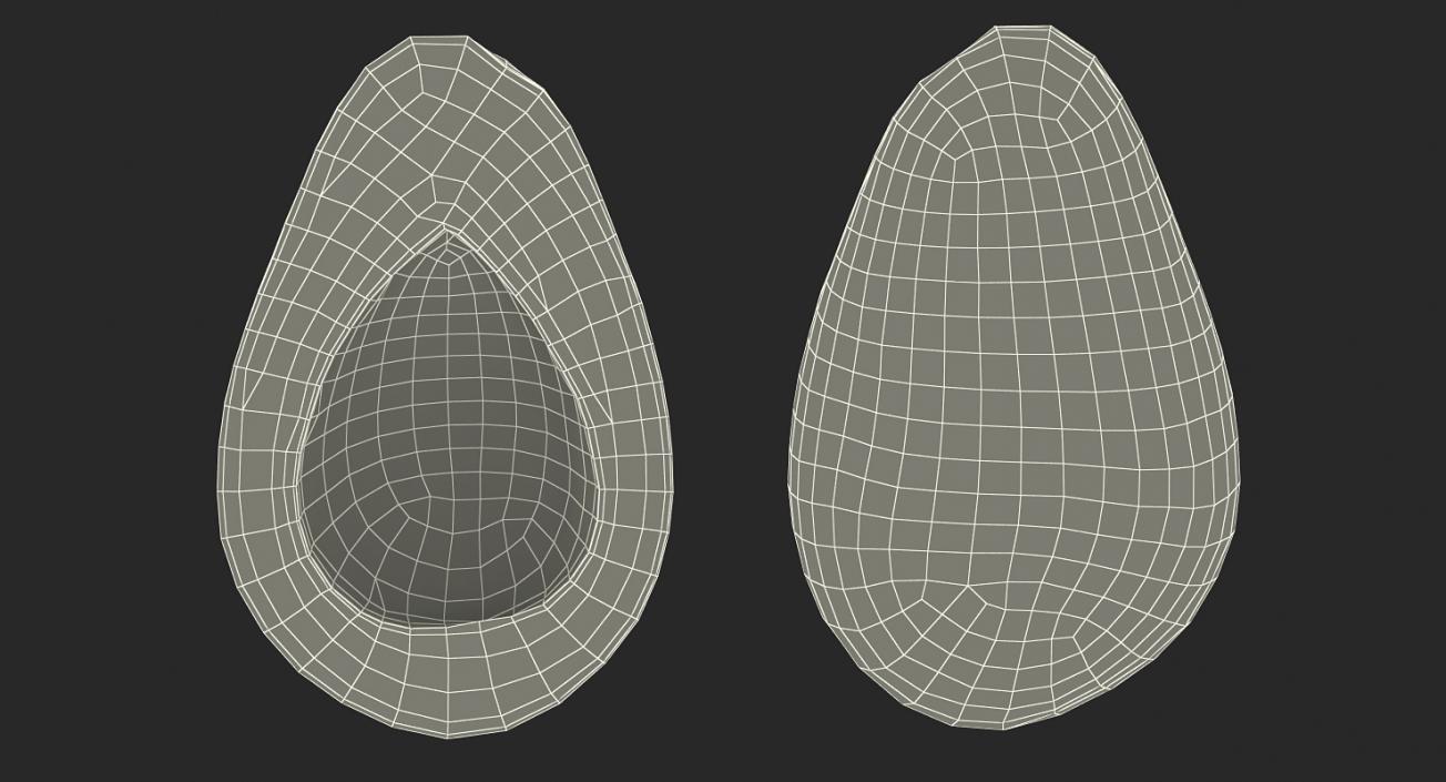 Avocado Half 3D