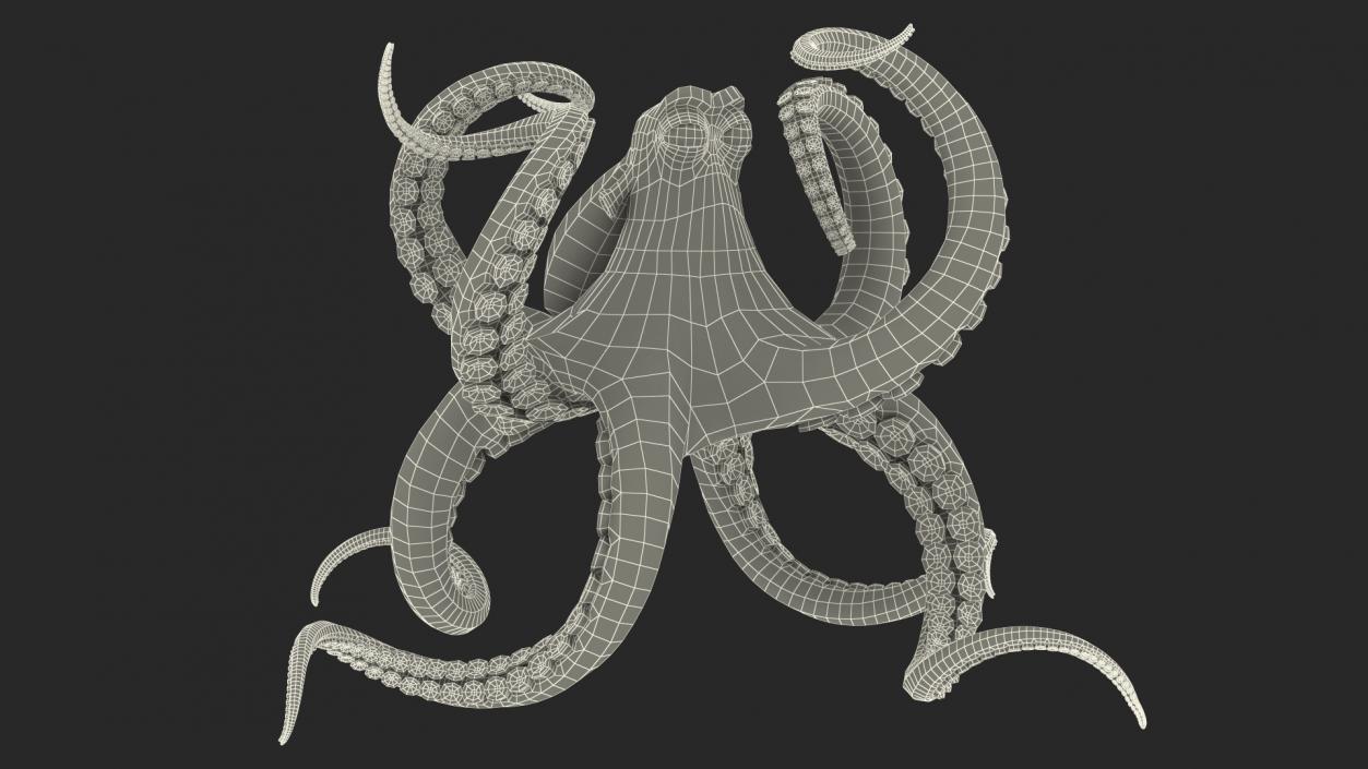 Cartoon Octopus Floating Pose 3D model