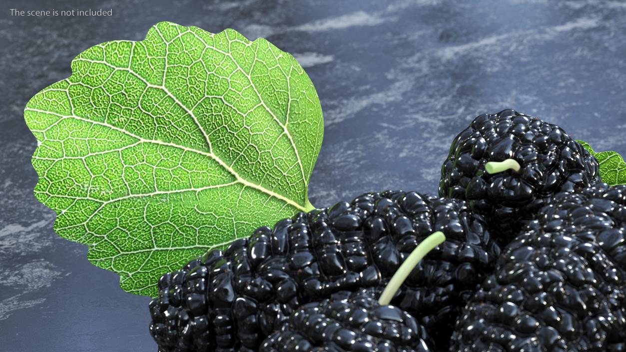 3D Pile of Mulberry Fruit Black model