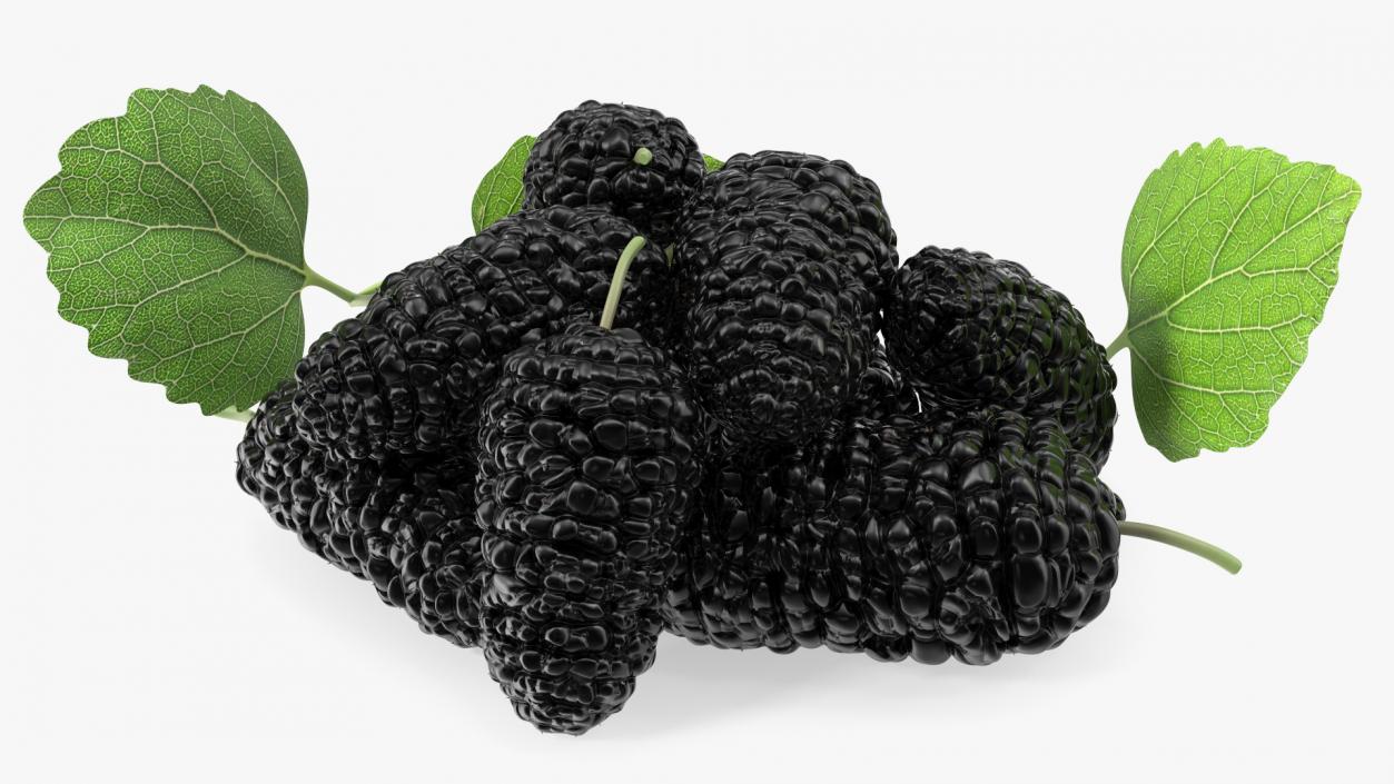 3D Pile of Mulberry Fruit Black model