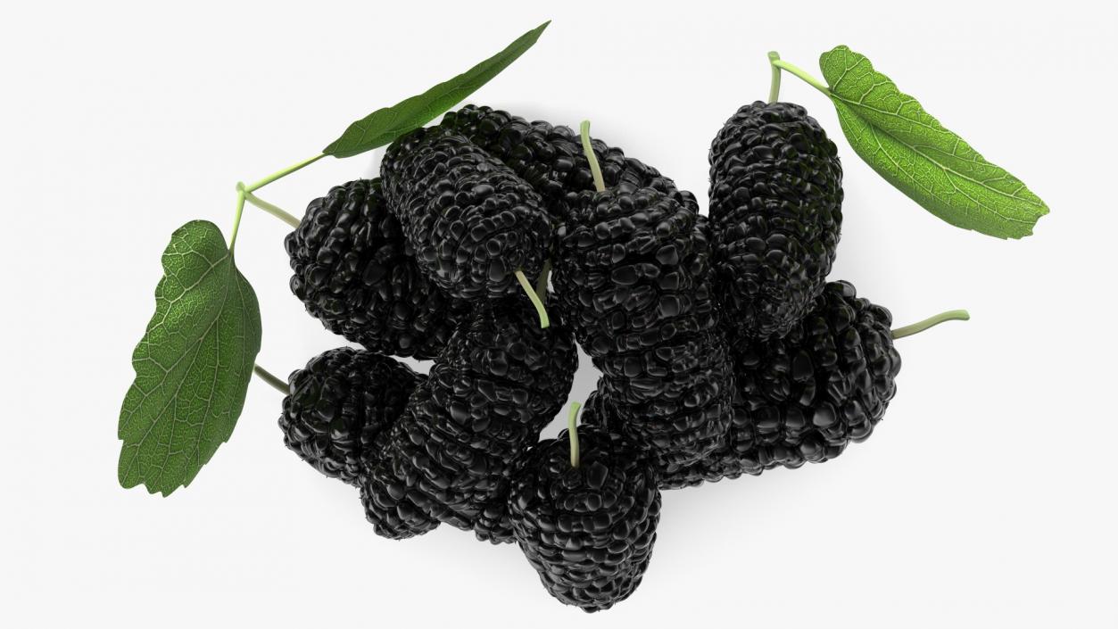 3D Pile of Mulberry Fruit Black model