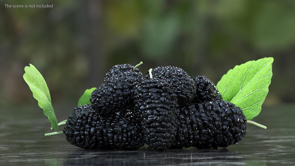 3D Pile of Mulberry Fruit Black model