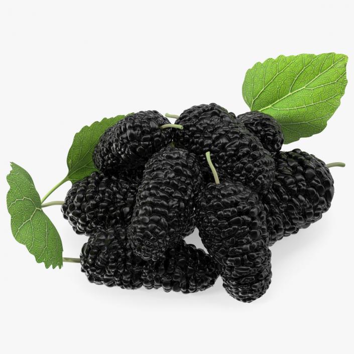 3D Pile of Mulberry Fruit Black model