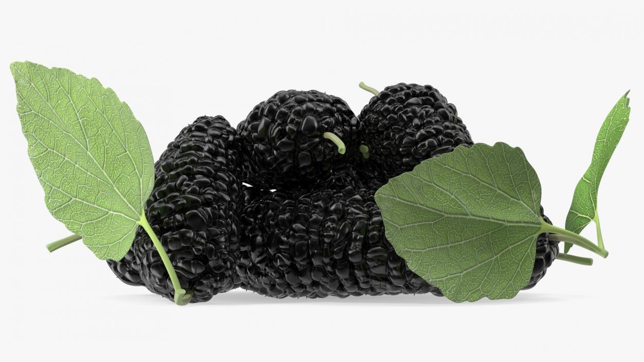 3D Pile of Mulberry Fruit Black model