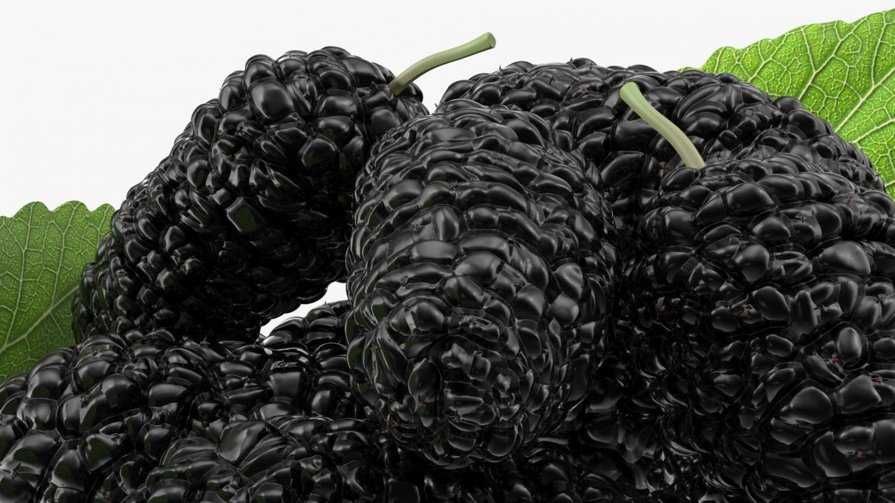 3D Pile of Mulberry Fruit Black model