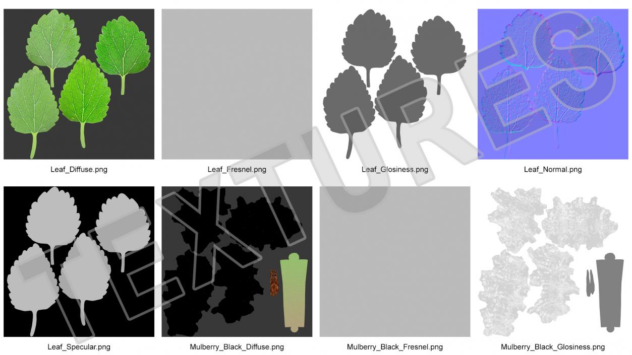 3D Pile of Mulberry Fruit Black model