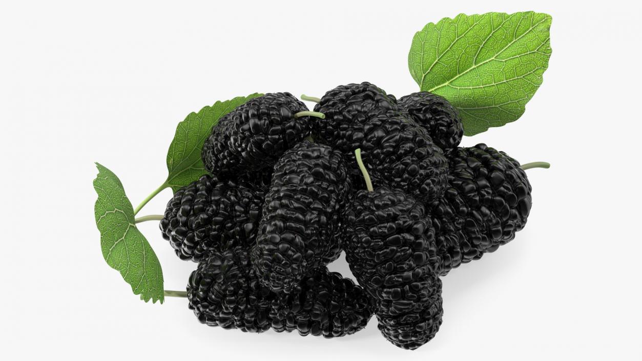 3D Pile of Mulberry Fruit Black model