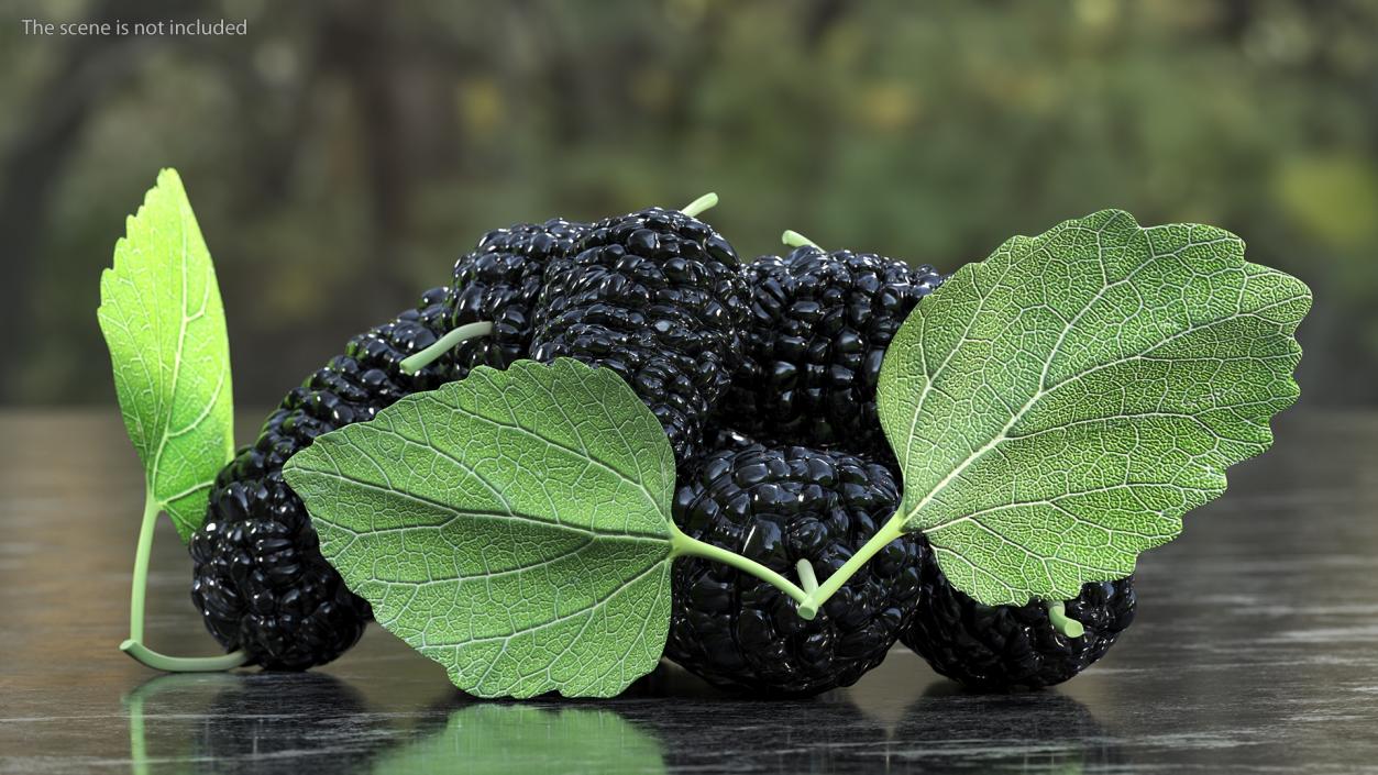 3D Pile of Mulberry Fruit Black model