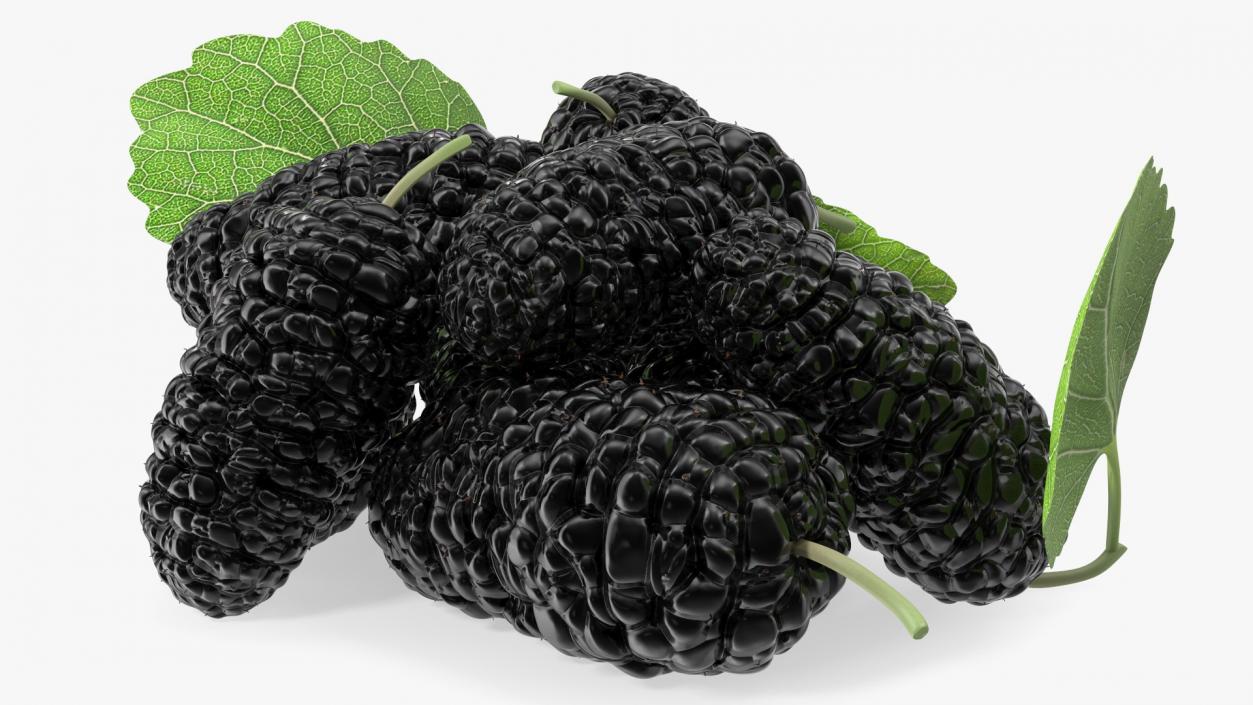 3D Pile of Mulberry Fruit Black model