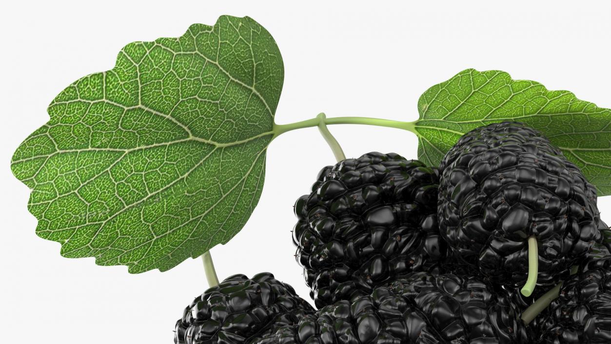 3D Pile of Mulberry Fruit Black model