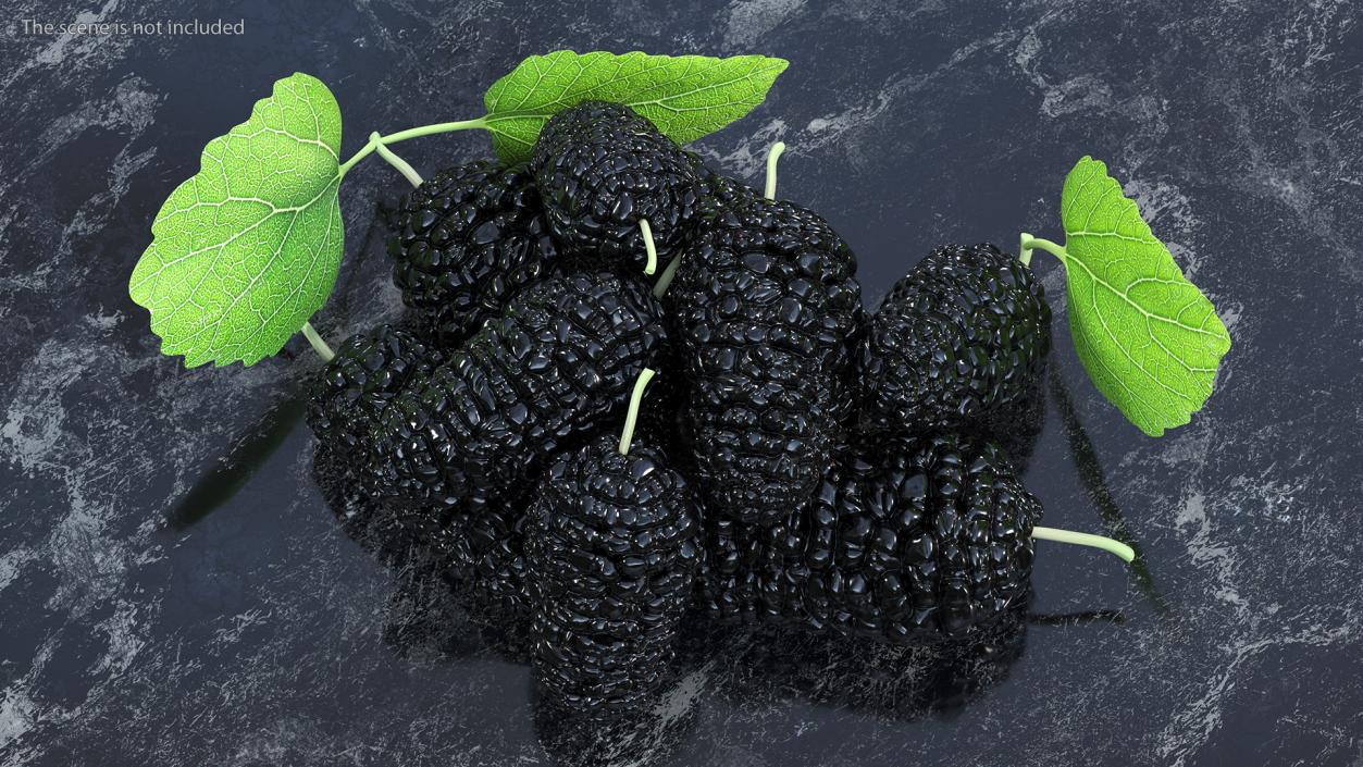 3D Pile of Mulberry Fruit Black model