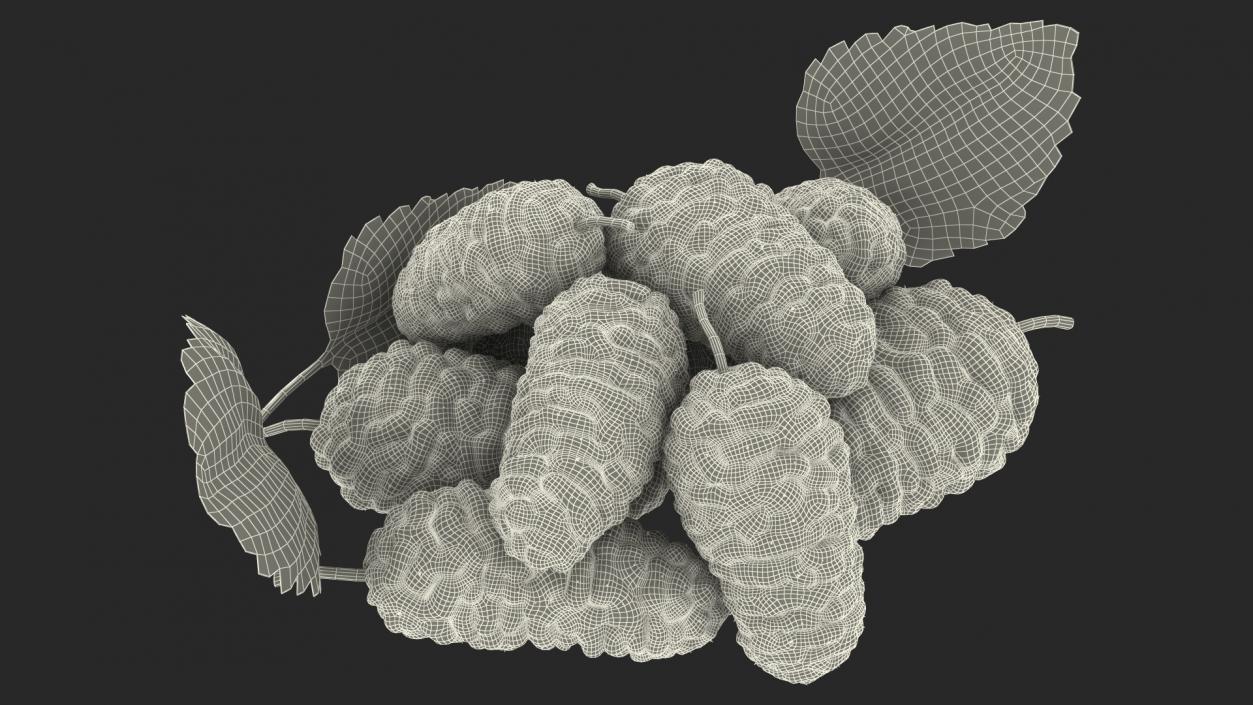 3D Pile of Mulberry Fruit Black model