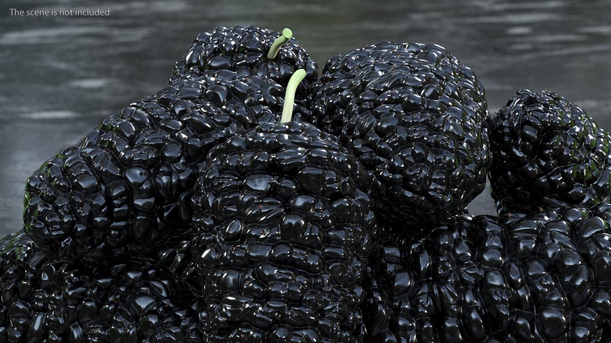 3D Pile of Mulberry Fruit Black model