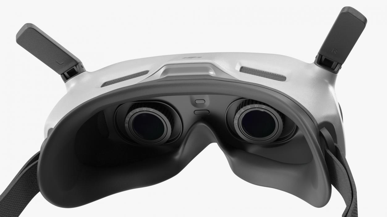 3D model Awaken DJI Goggles 2 Idle