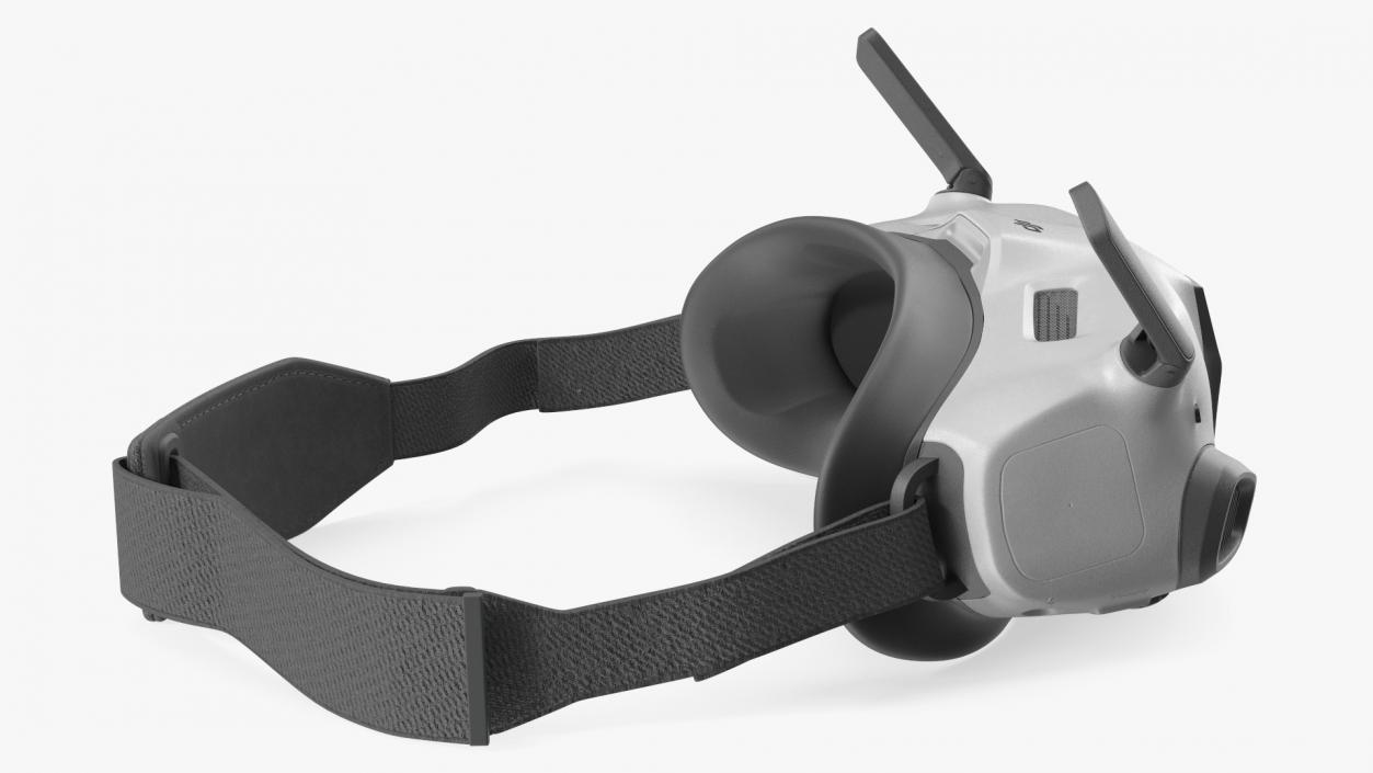 3D model Awaken DJI Goggles 2 Idle