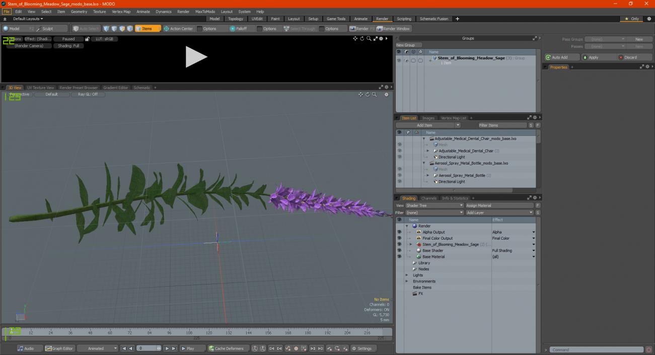 3D Stem of Blooming Meadow Sage model