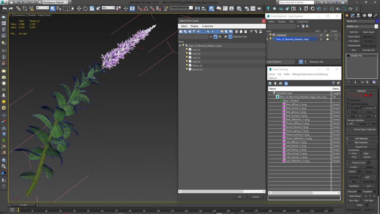 3D Stem of Blooming Meadow Sage model