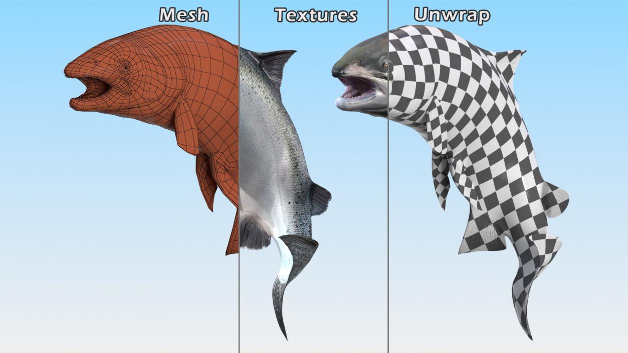 3D model Atlantic Salmon Jump Pose