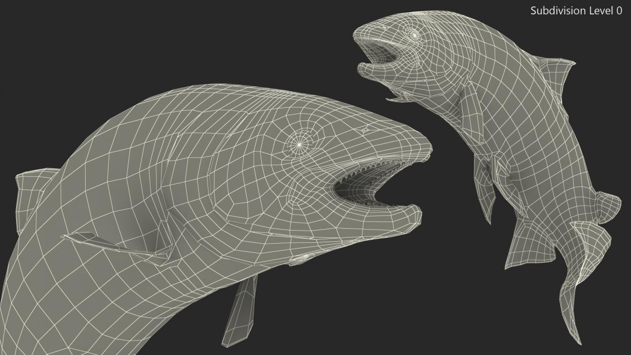 3D model Atlantic Salmon Jump Pose