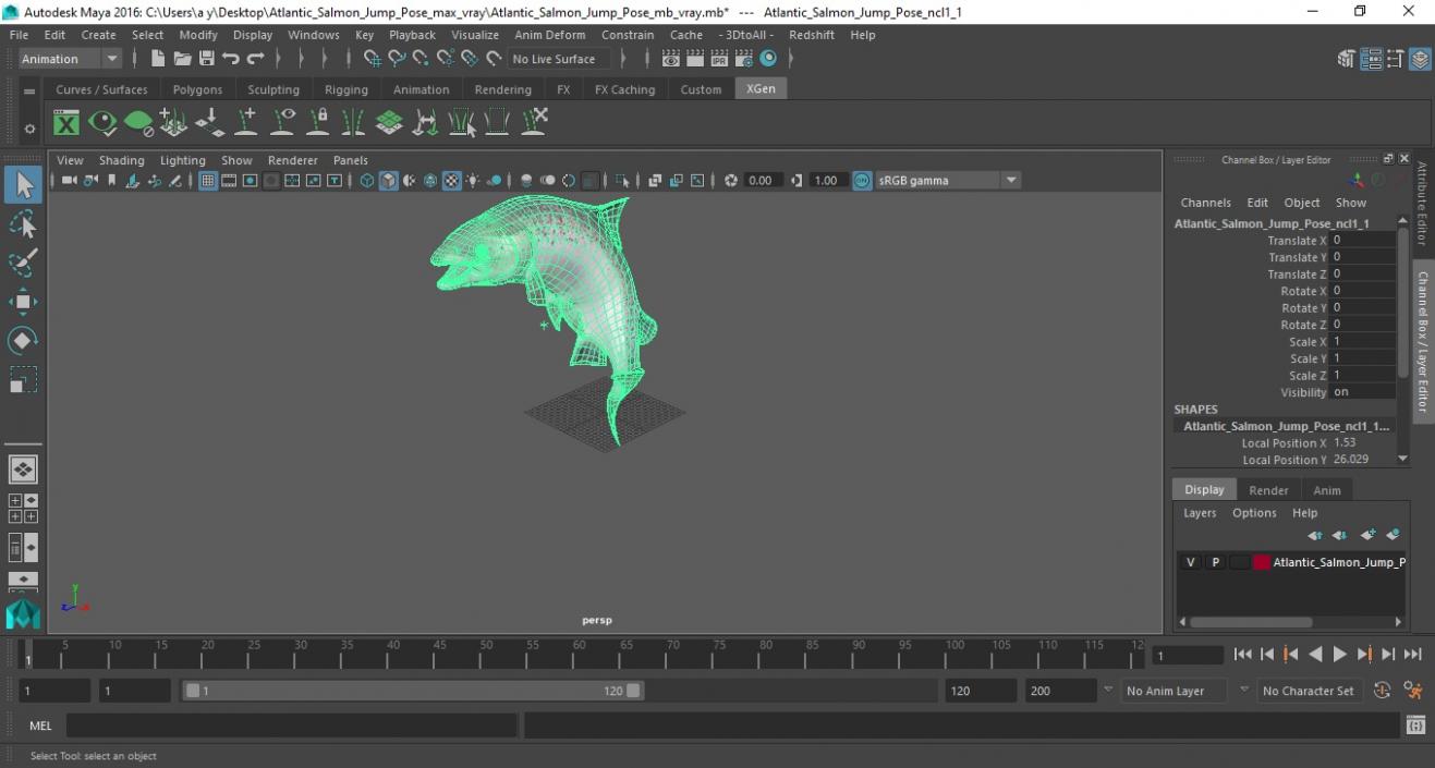 3D model Atlantic Salmon Jump Pose