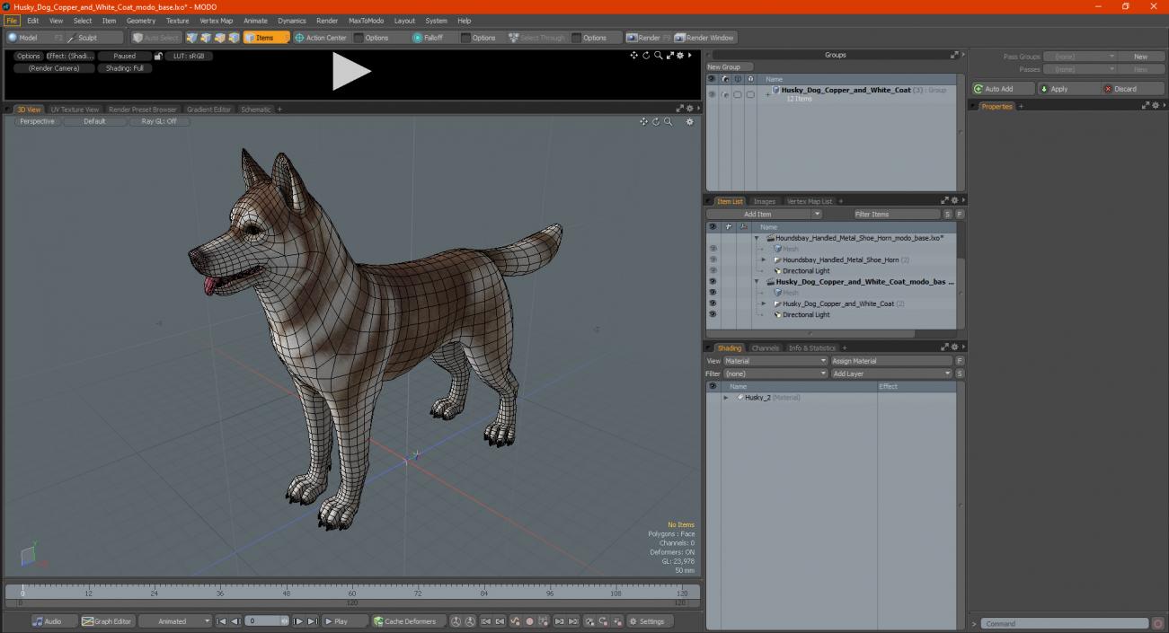 3D Husky Dog Copper and White Coat