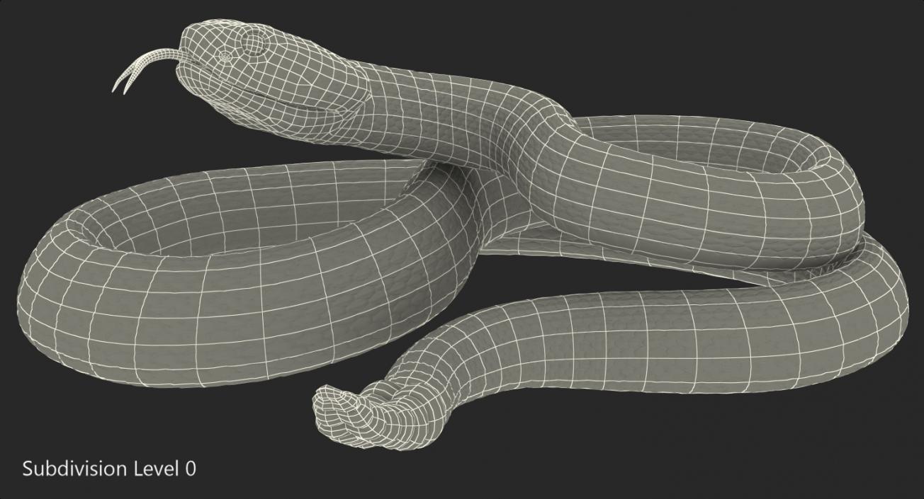 3D Dark Rattlesnake