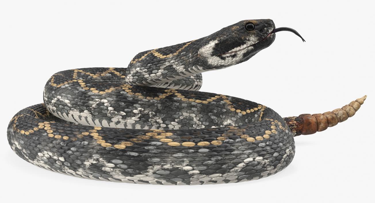 3D Dark Rattlesnake