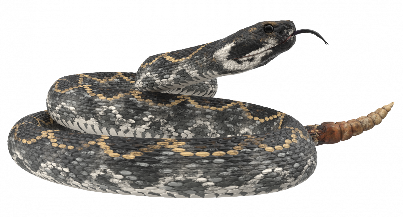 3D Dark Rattlesnake