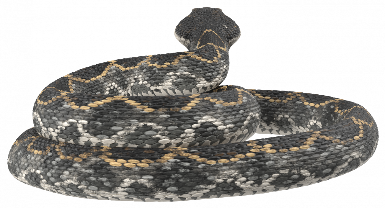 3D Dark Rattlesnake