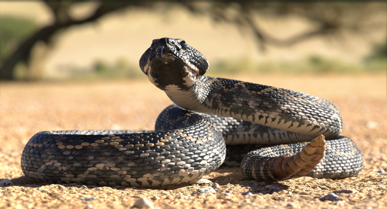 3D Dark Rattlesnake