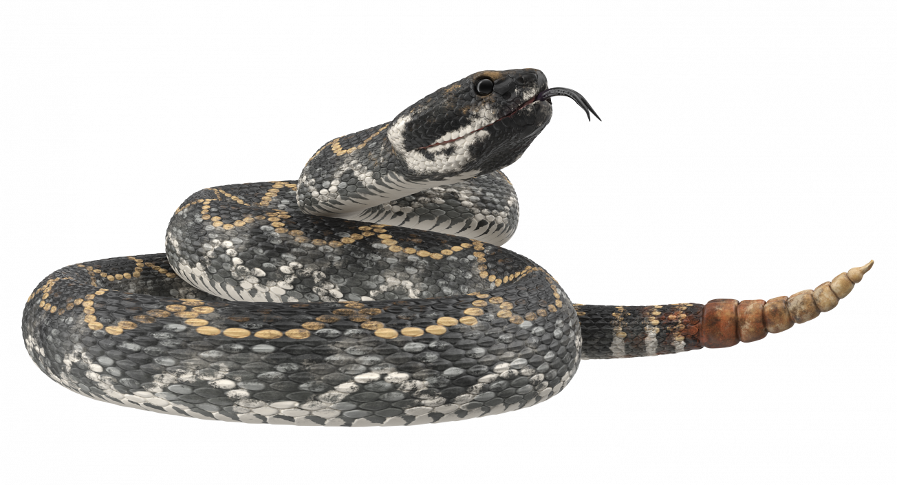 3D Dark Rattlesnake