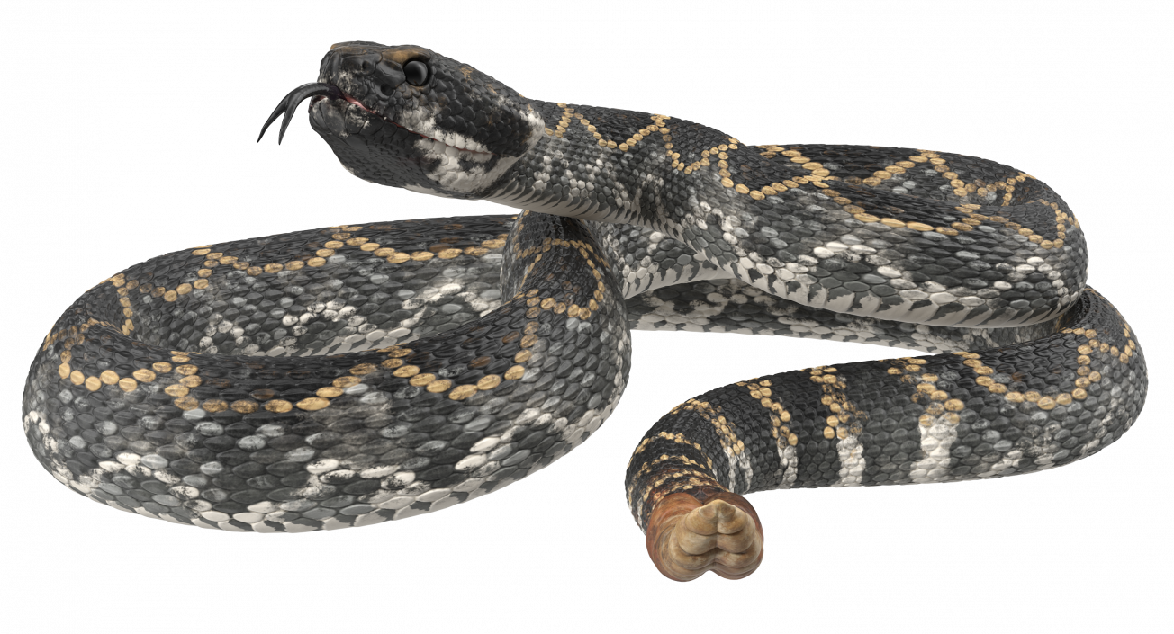 3D Dark Rattlesnake