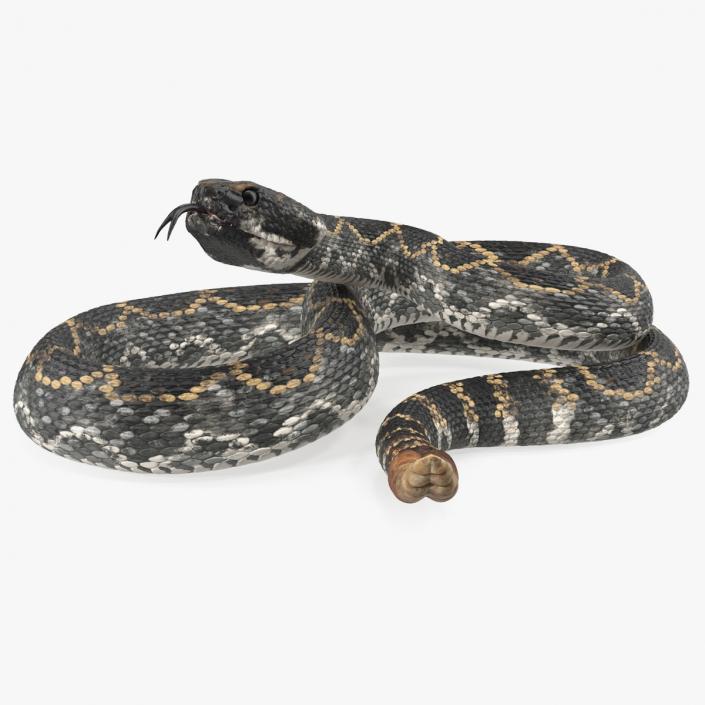 3D Dark Rattlesnake