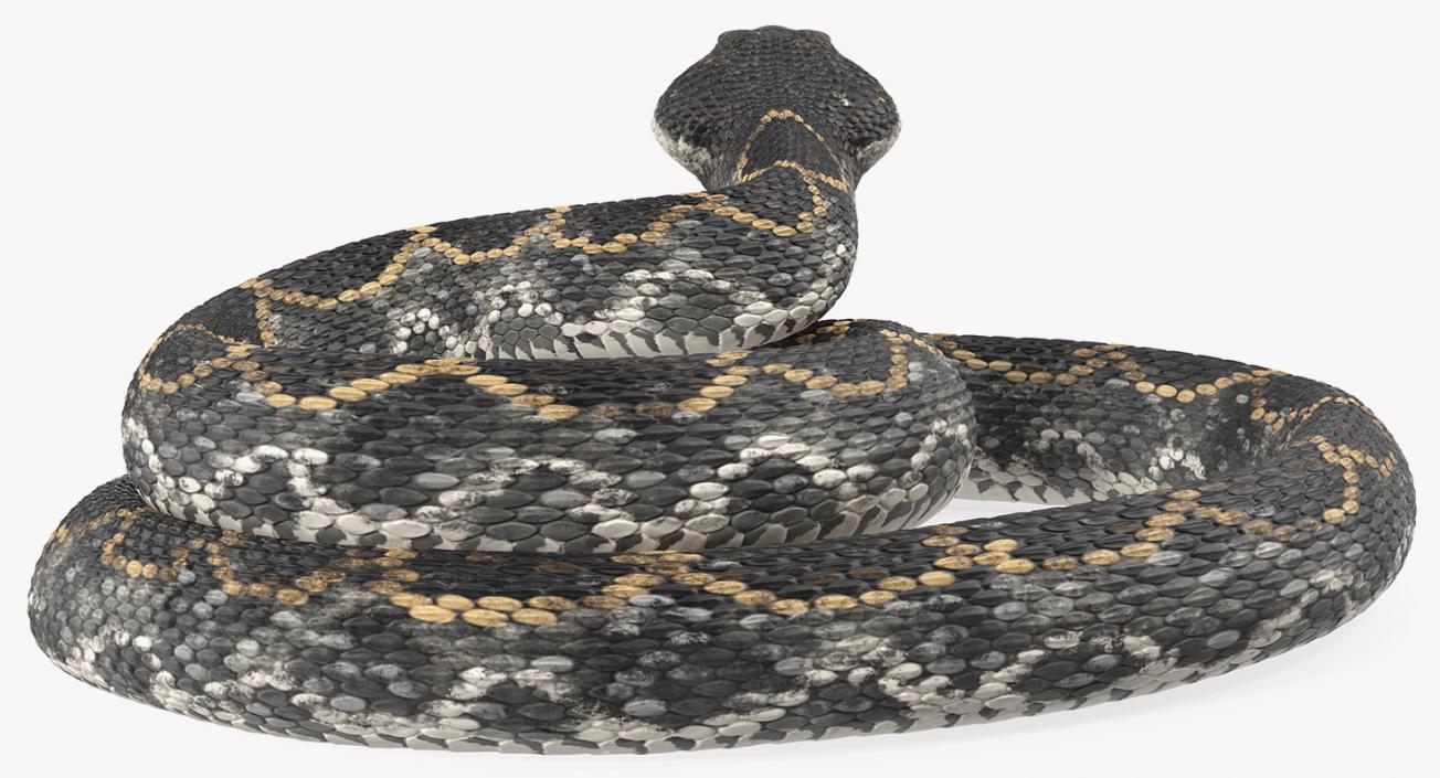 3D Dark Rattlesnake