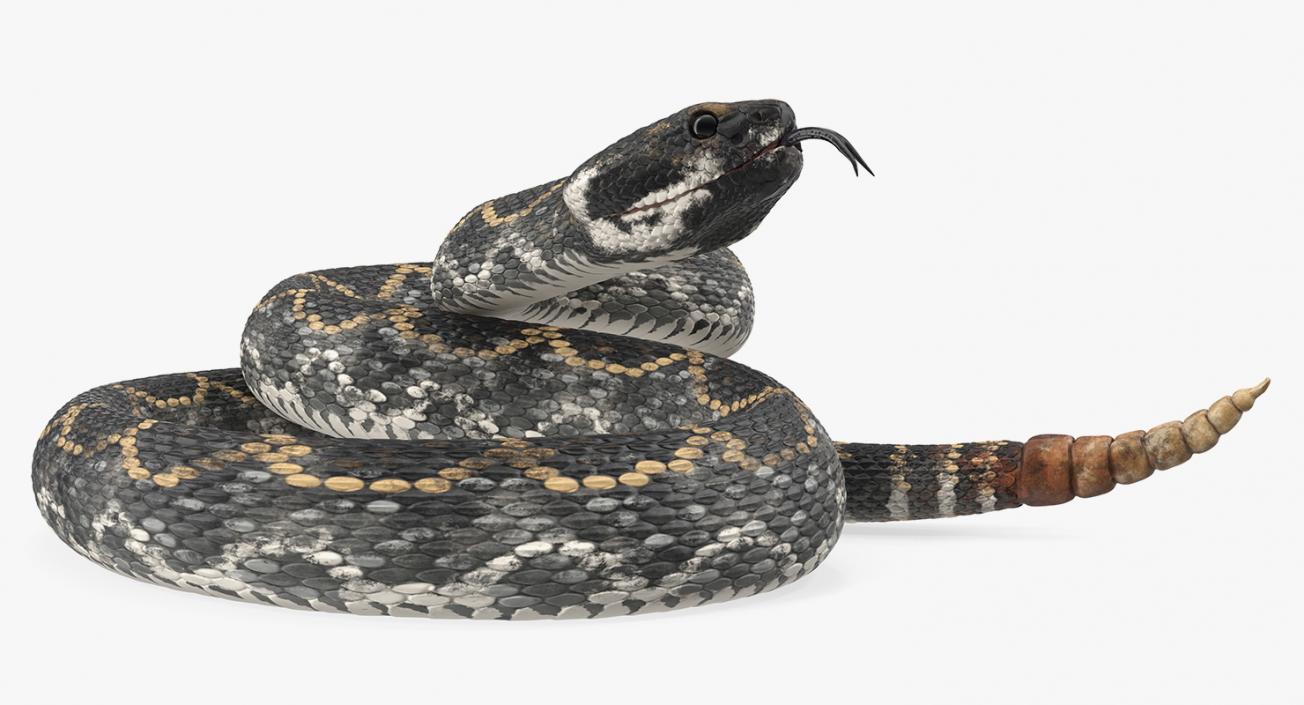 3D Dark Rattlesnake