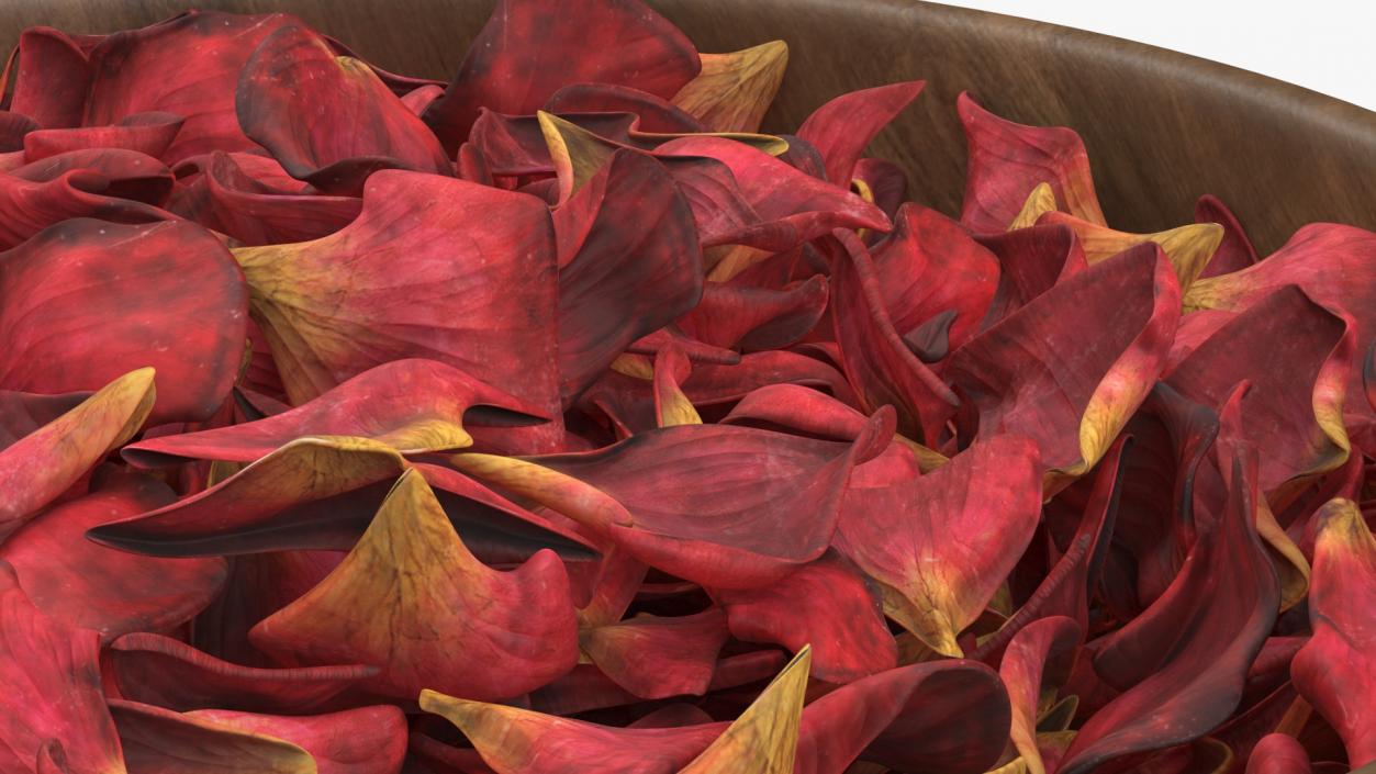 3D Wooden Bowl with Dried Red Petals model