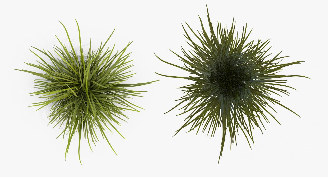 3D model Wild Tall Grass