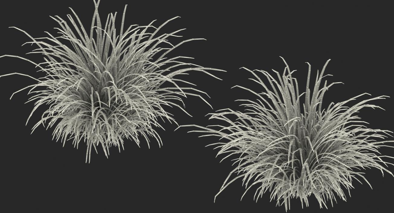 3D model Wild Tall Grass