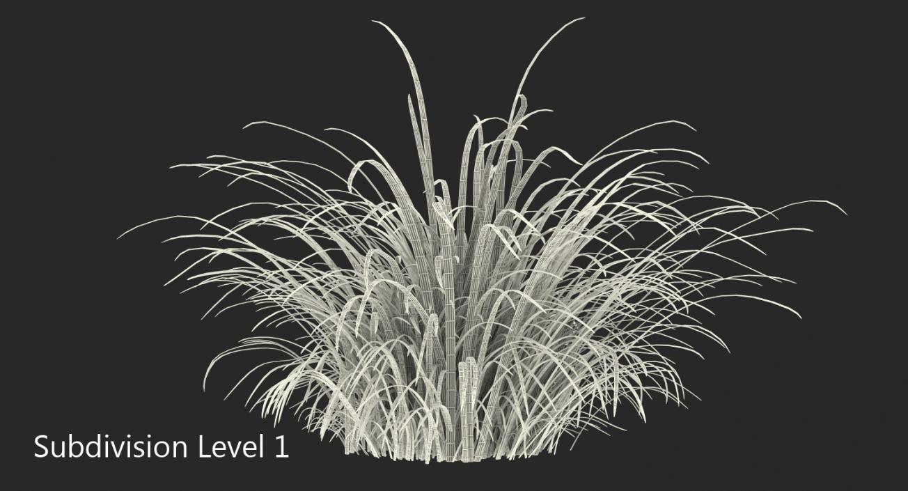 3D model Wild Tall Grass