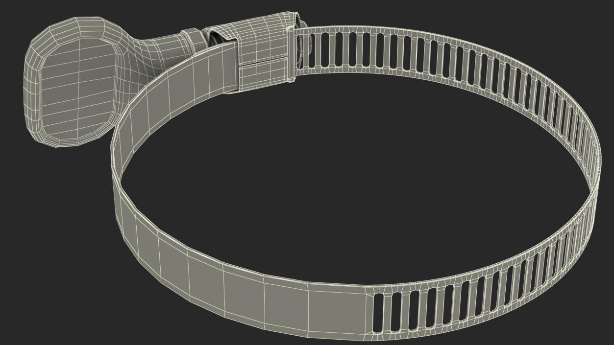 3D Worm Gear Hose Clamp 46 70mm model